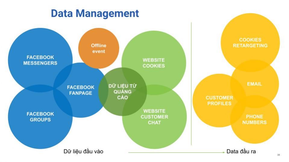 Data Management & Marketing Automation